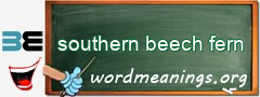 WordMeaning blackboard for southern beech fern